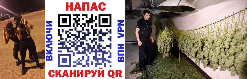 Канабис планчик Красноуральск